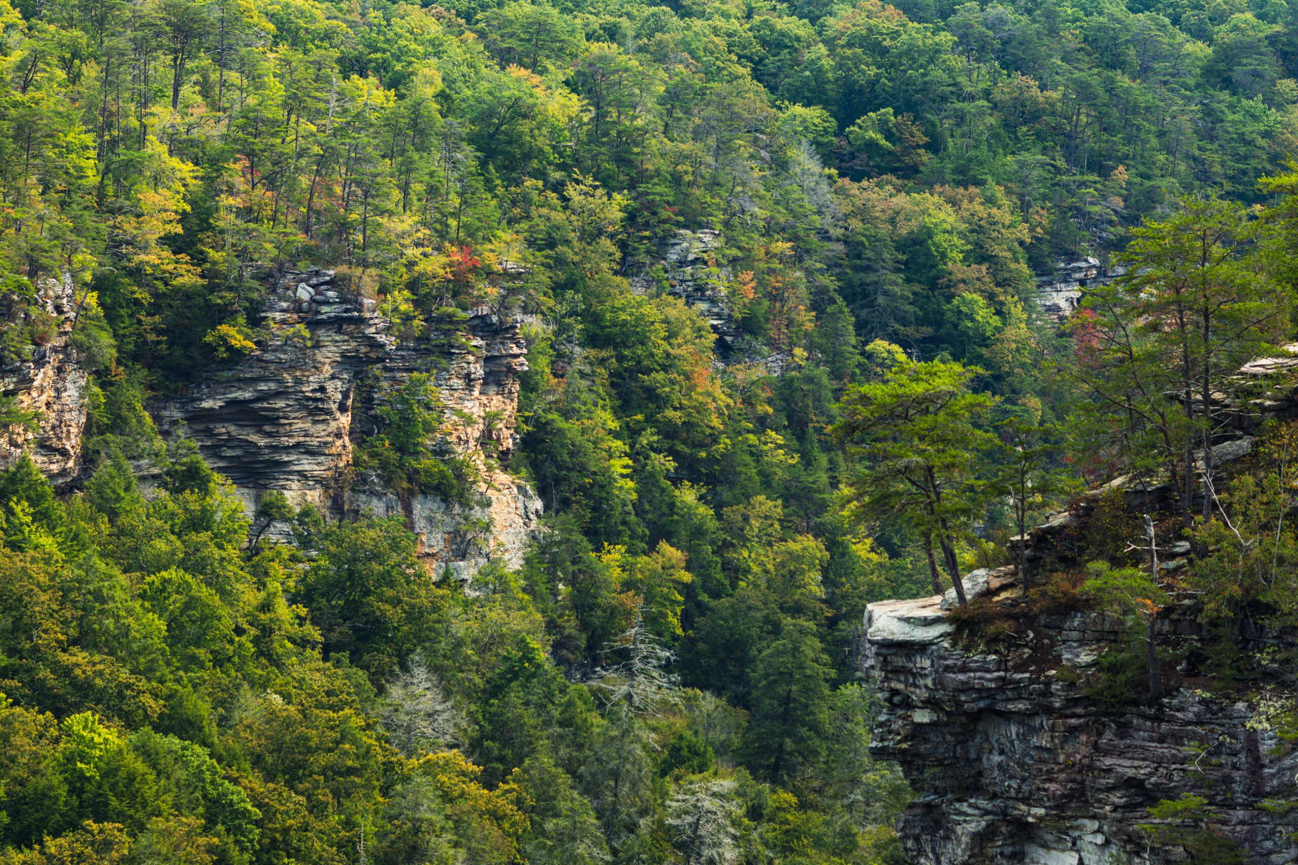 Trip @ Fall River Falls