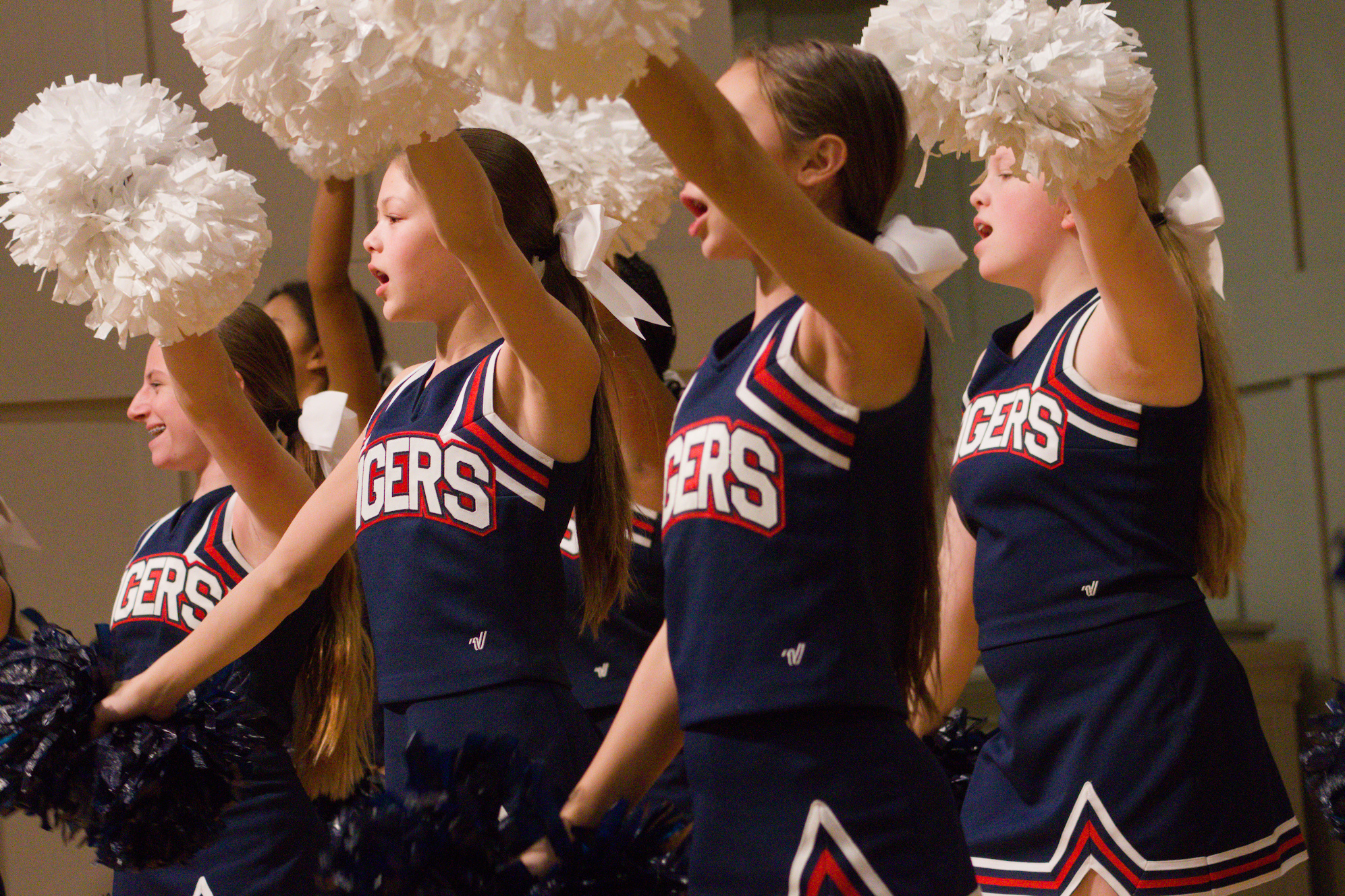 Cheer +  Basketball v Knights